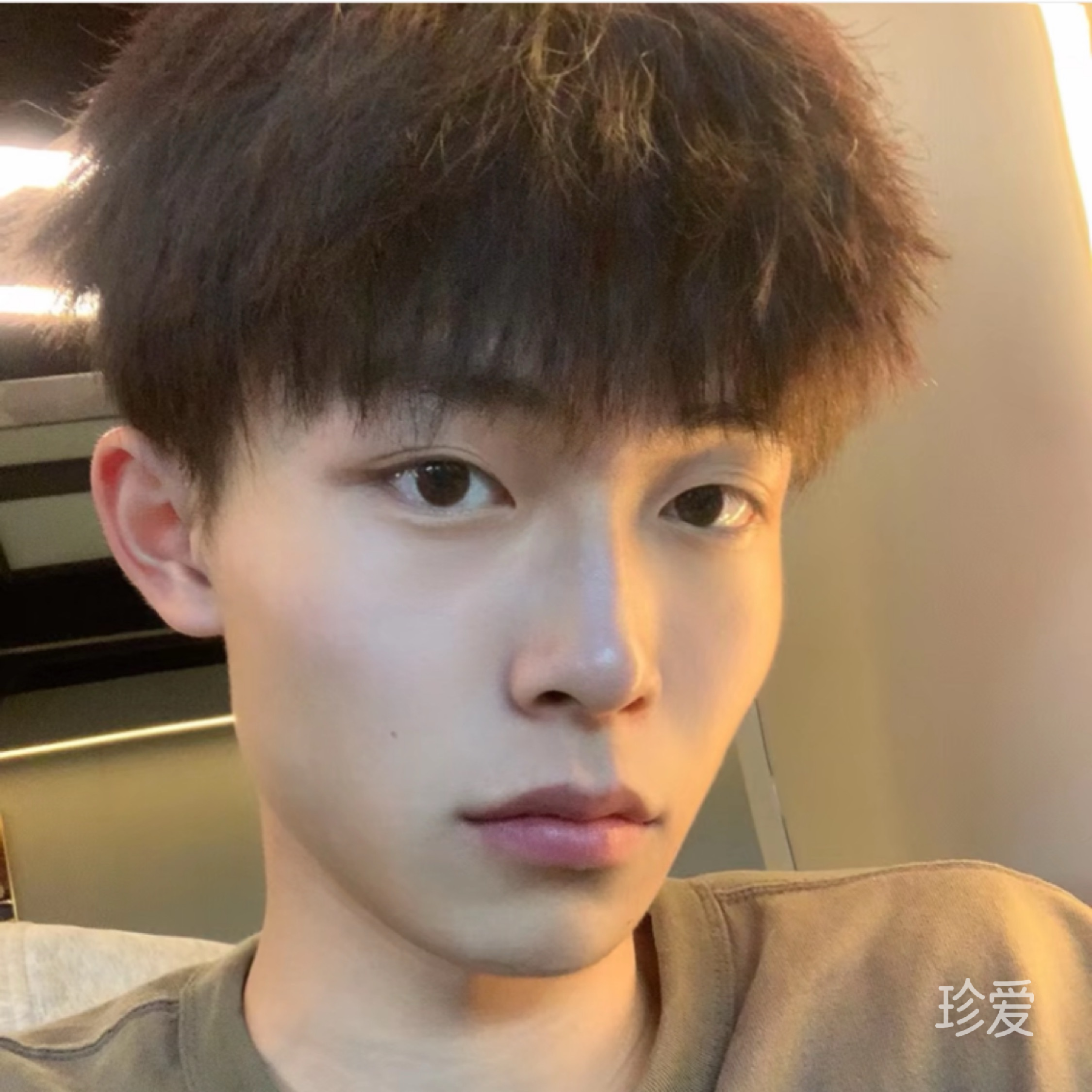 忧伤的叶子