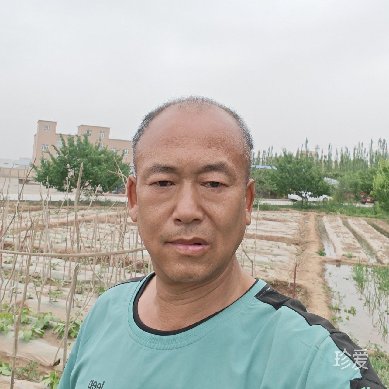 风姿舞动