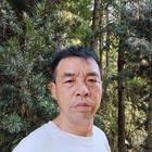 為你而來