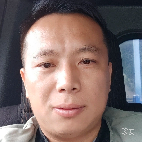 无忧草