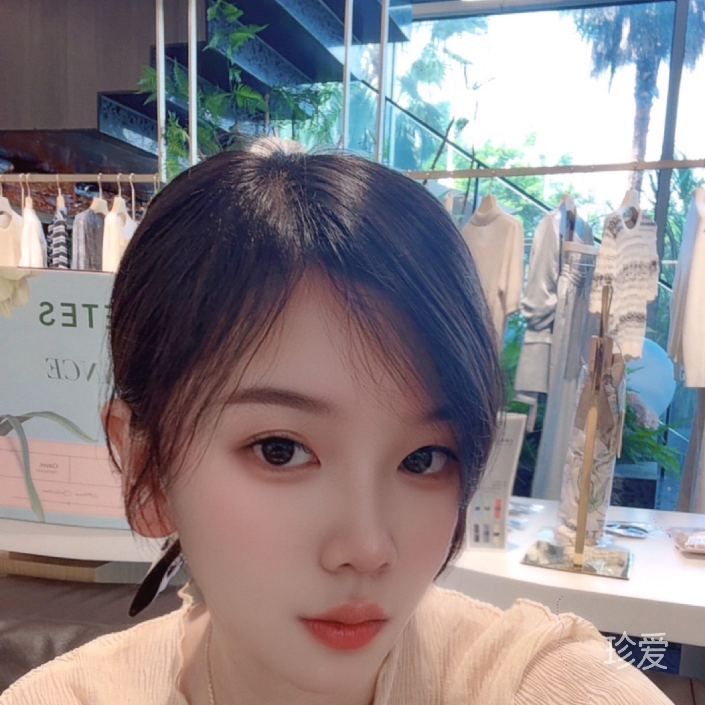 暮雨而桐