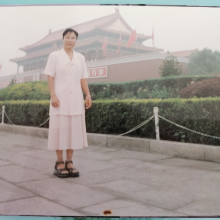 樂莫樂兮新相知