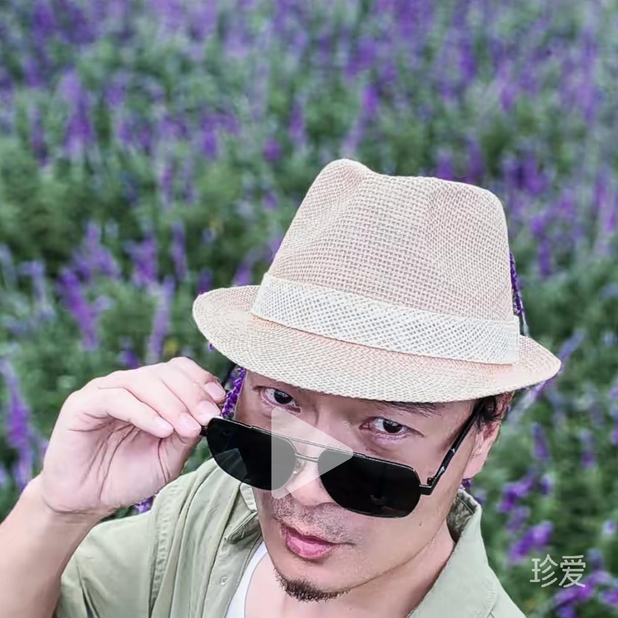 暖陽觀心扒拉靈魂