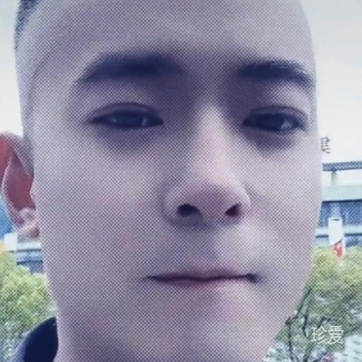 慈溪毛毛虫