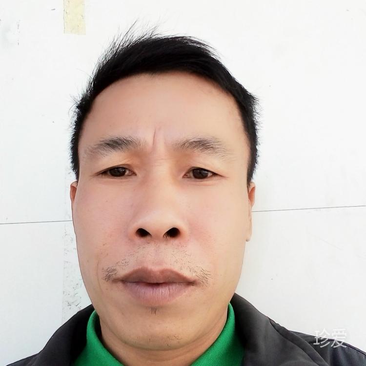 秋天的枫叶