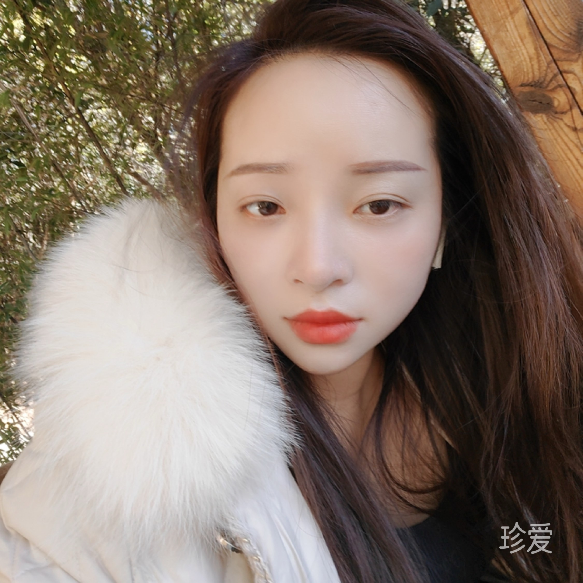 絮落无声空即廖