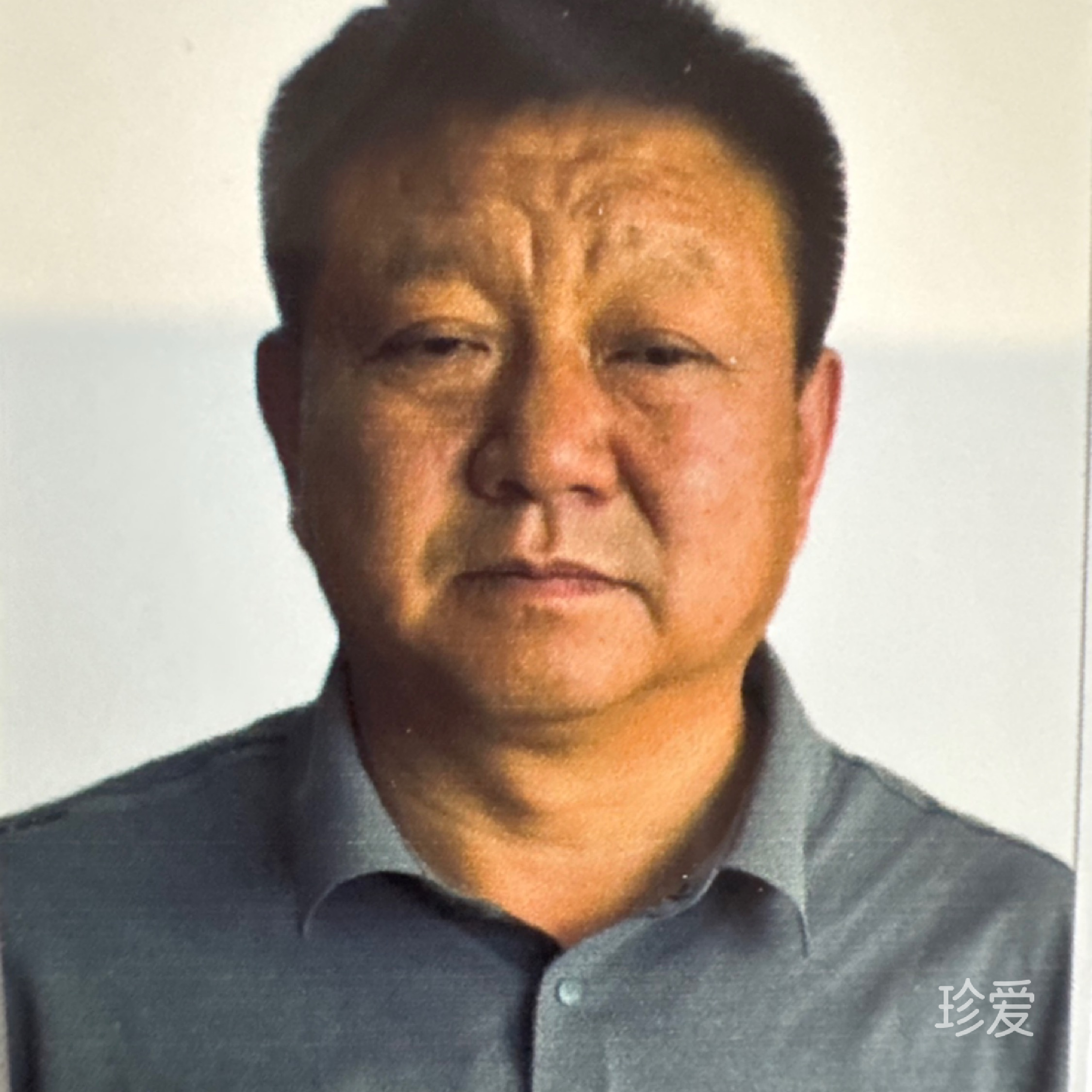 北方的狼