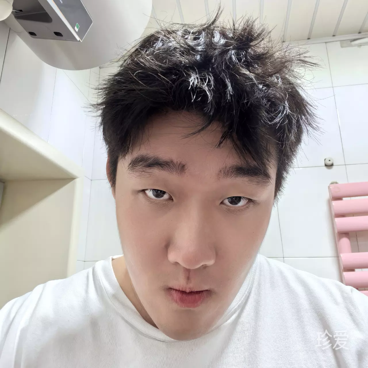 炳枫