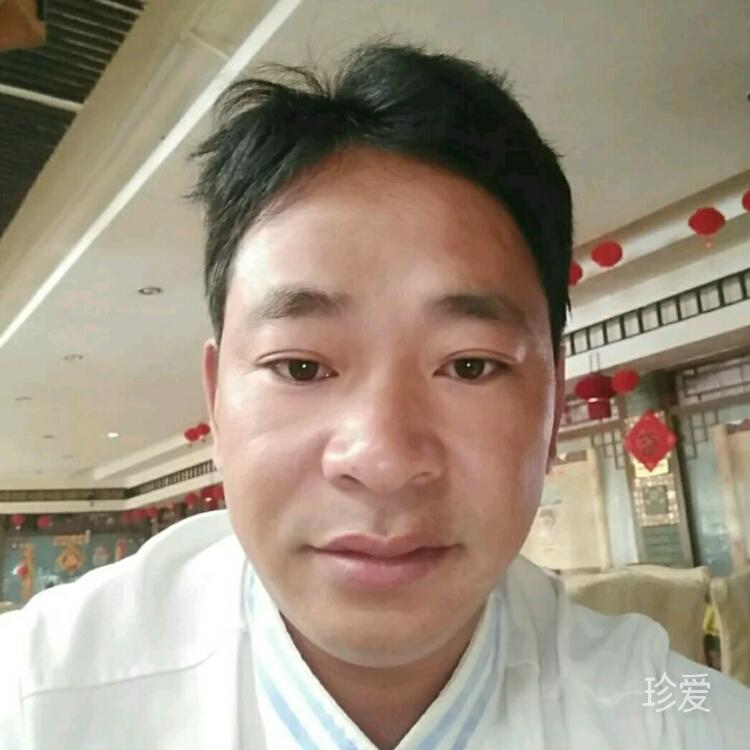 锐意的顾恋