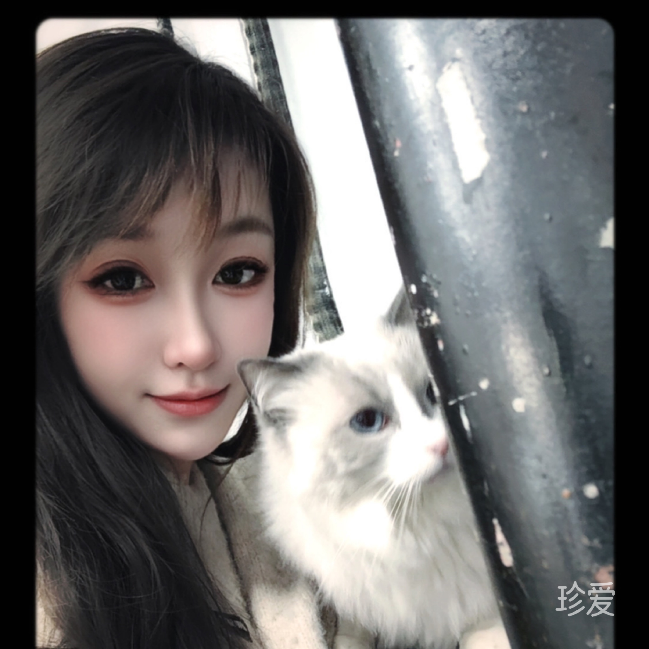 智障少女卡皮巴拉