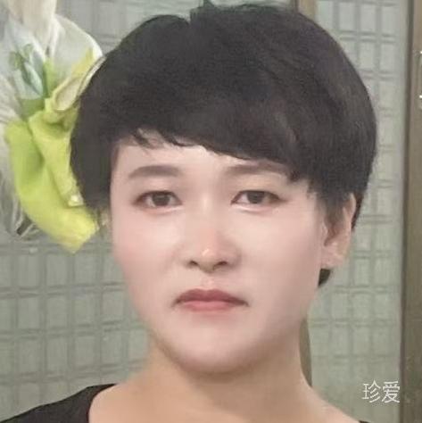 猫与鱼私语