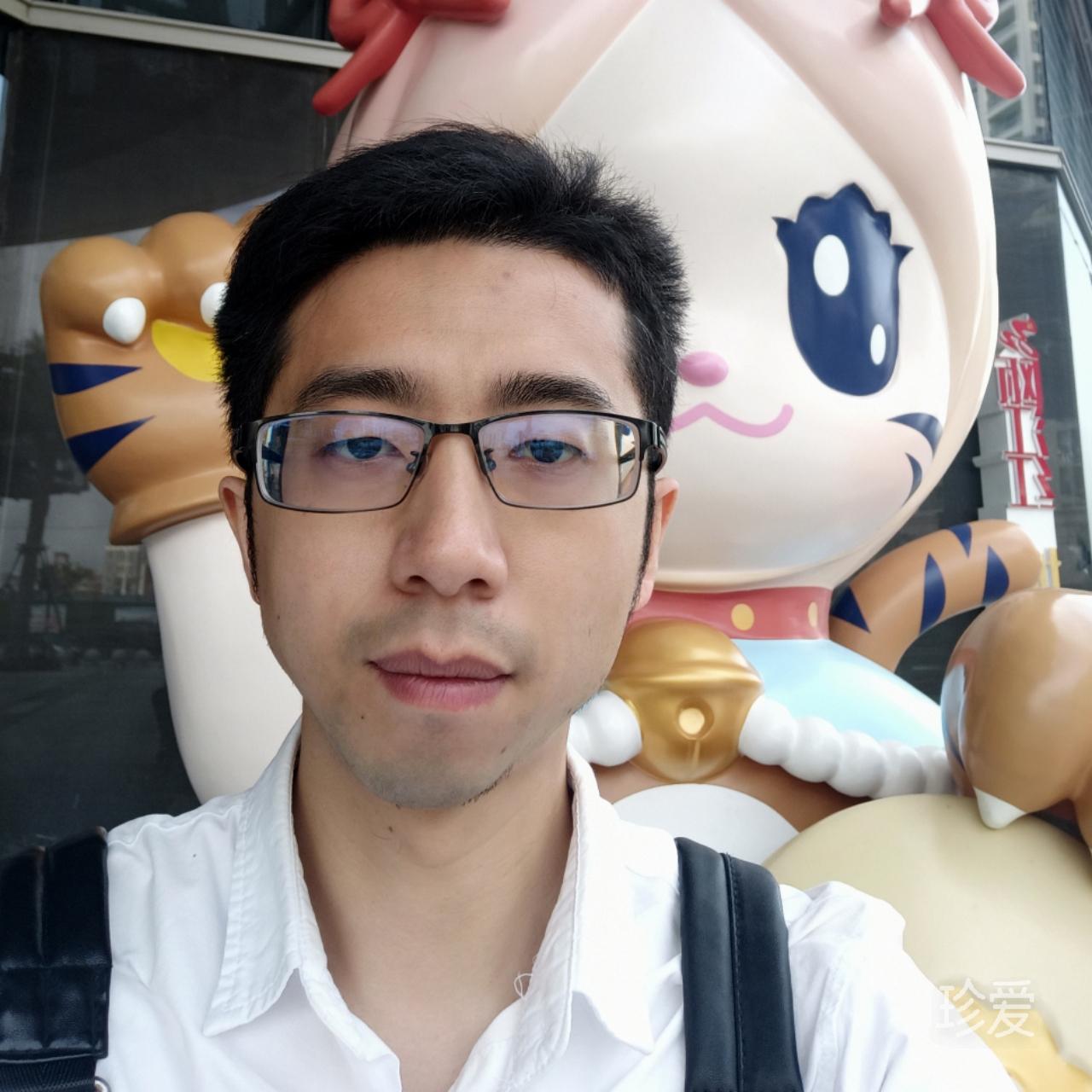 逆光飞翔
