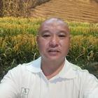 愛(ài)無(wú)悔