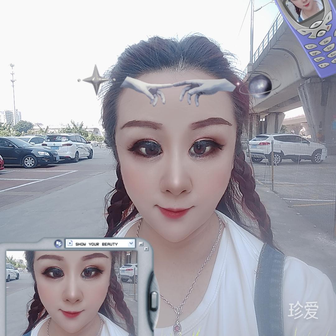 風(fēng)中的蒲公英