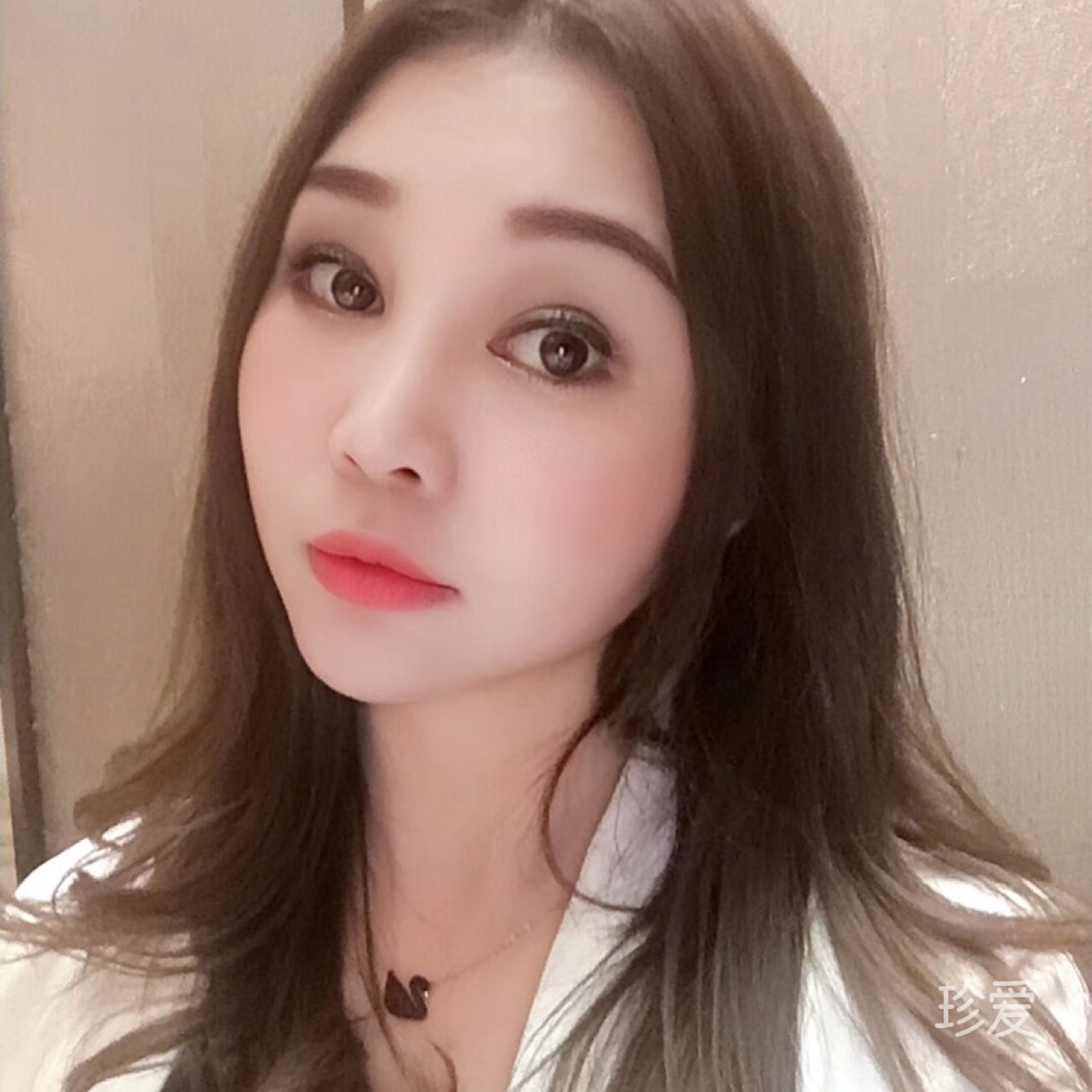 菲儿