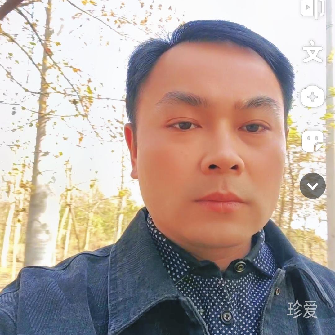 寻情记