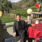 可以依靠的大榕樹