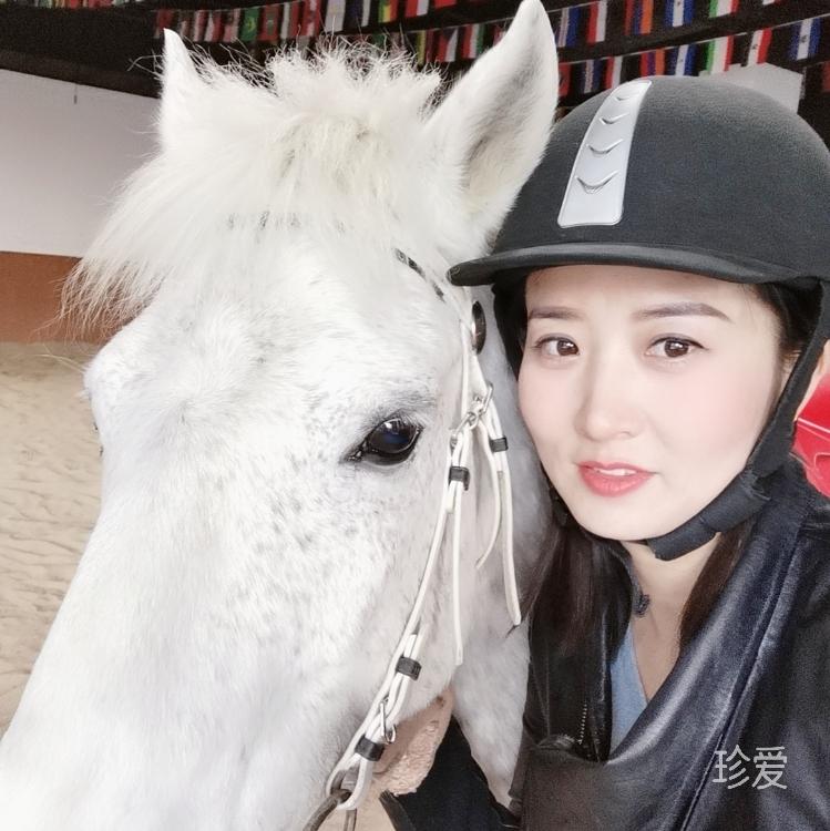 醉清风