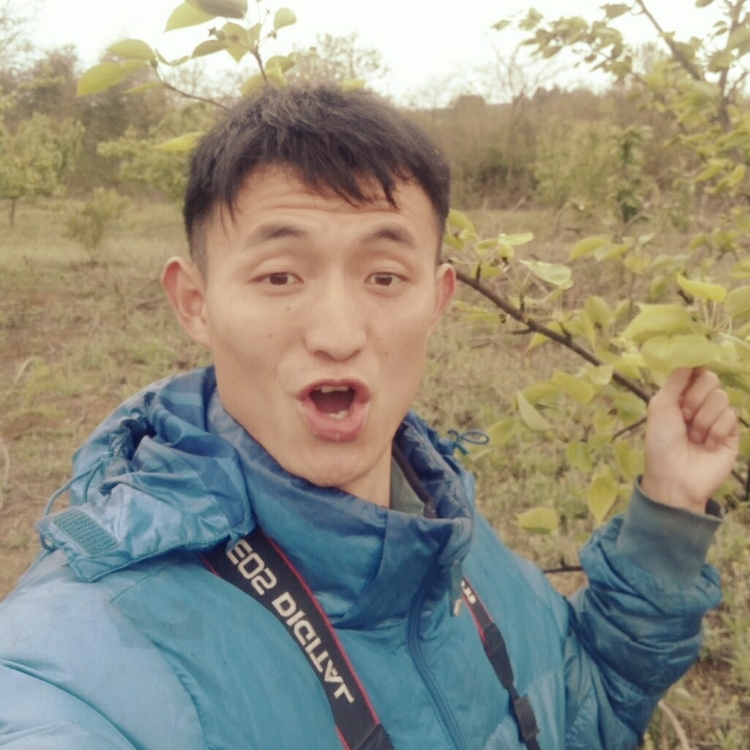 麥田里的守望者