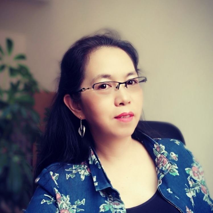 凤凰花开遇见你