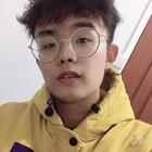 數(shù)的羊都跑了