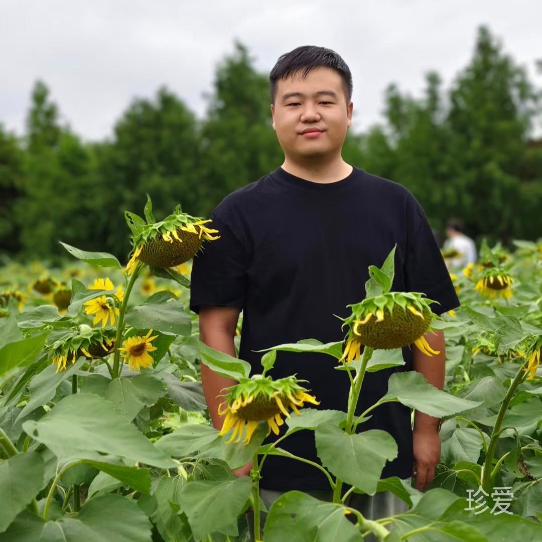 陆一凡