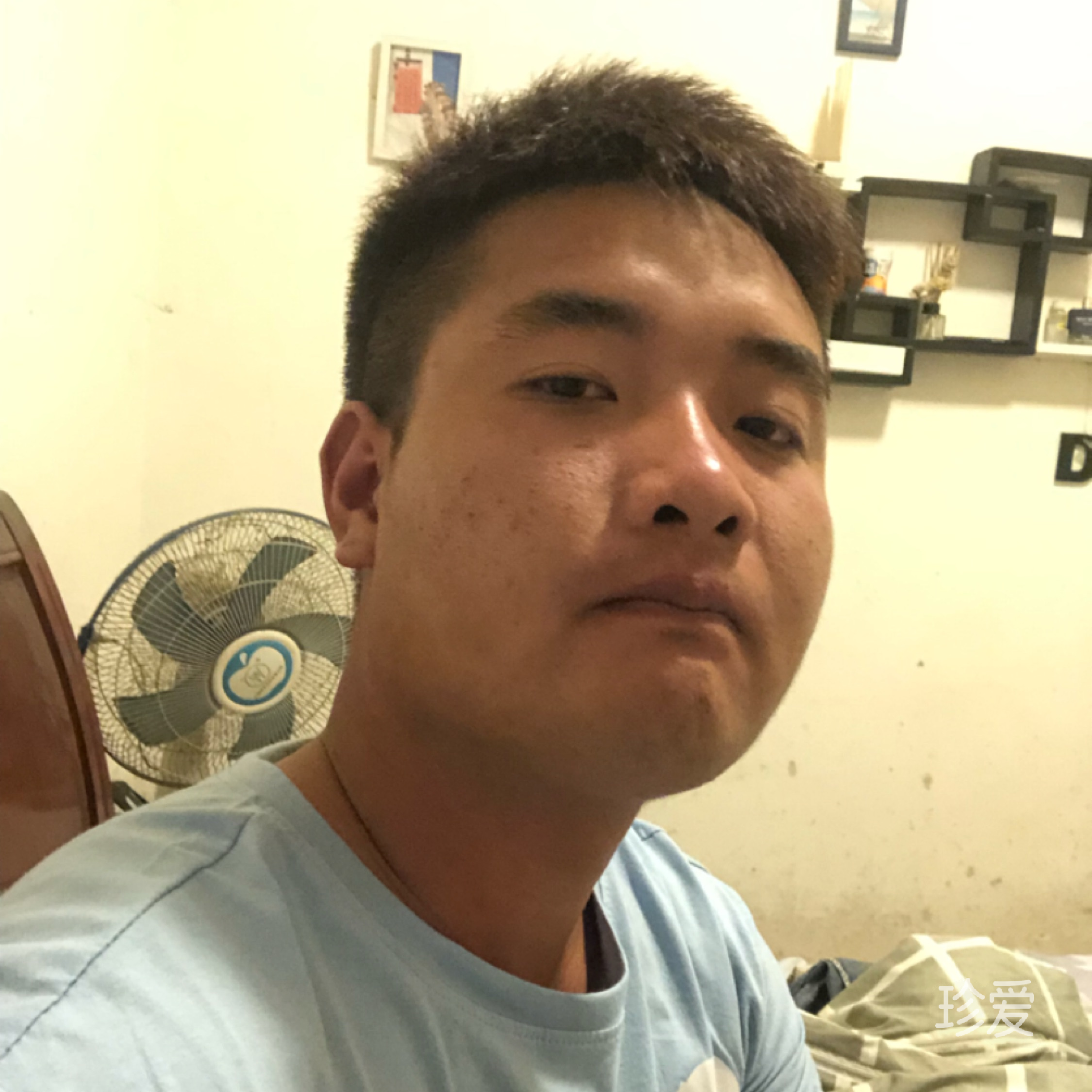 穿过树丛的阳光