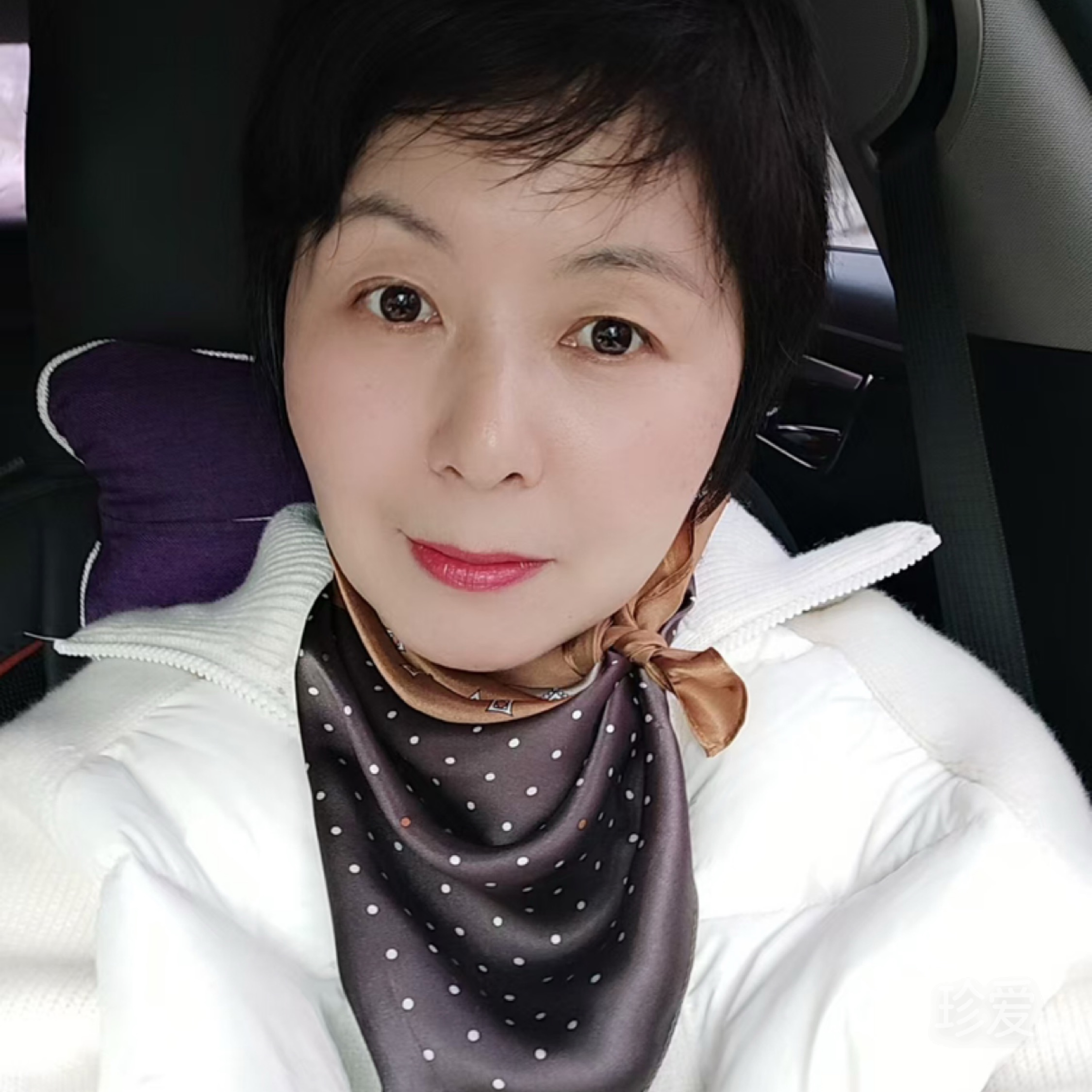 清风知意