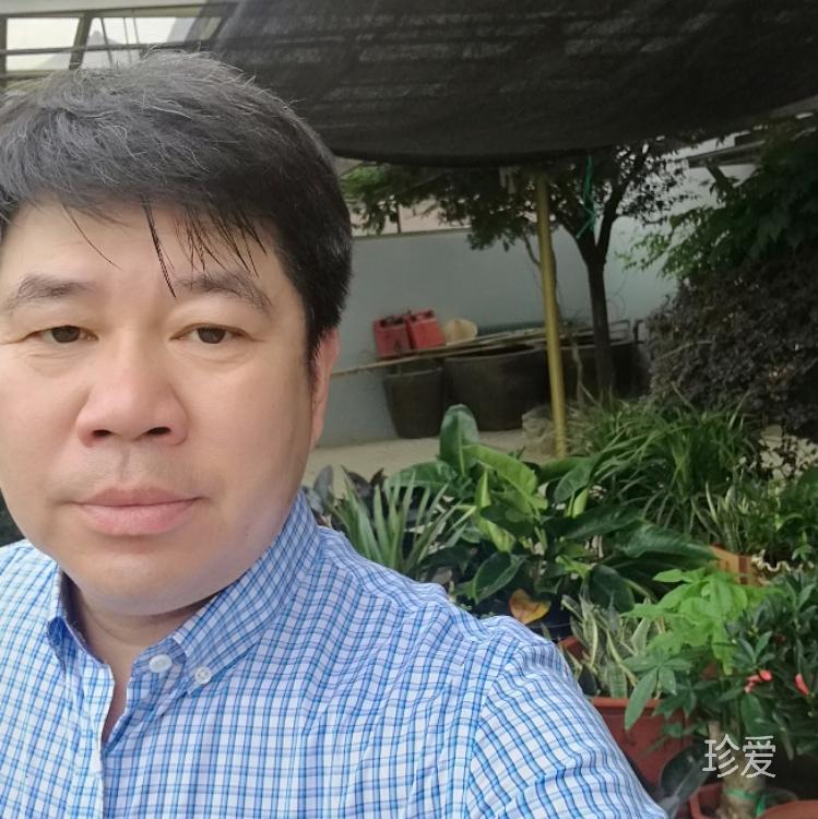 平凡且平淡之人