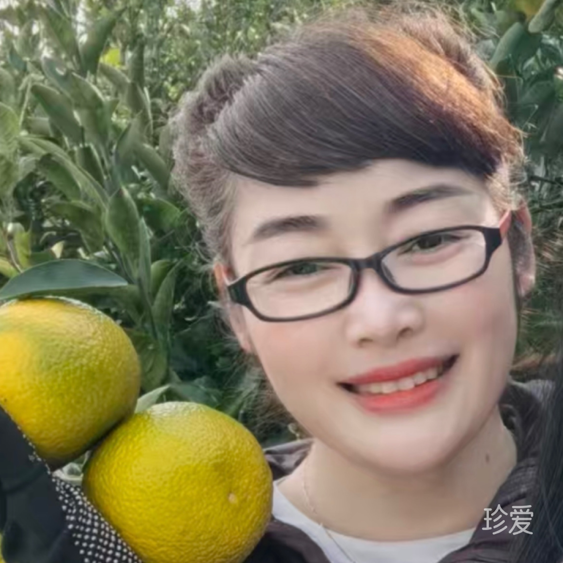 诗和远方