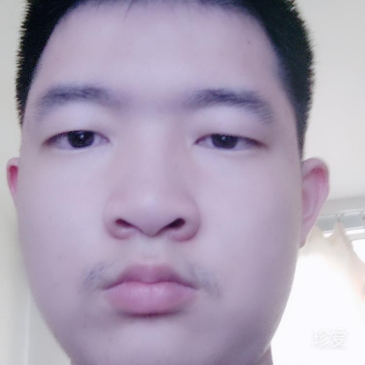鲁光豪