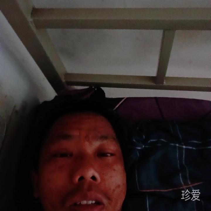 易极