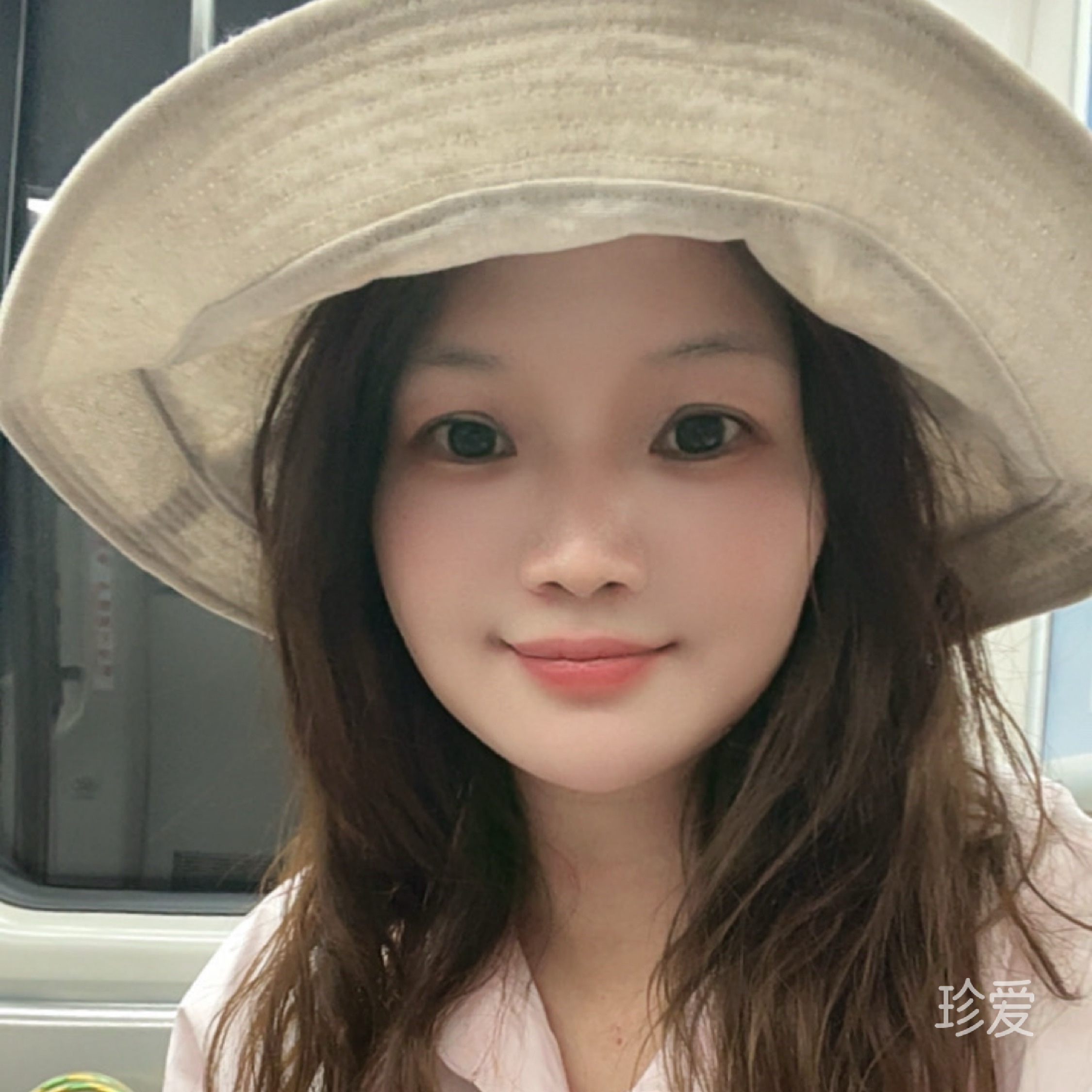 真心真意