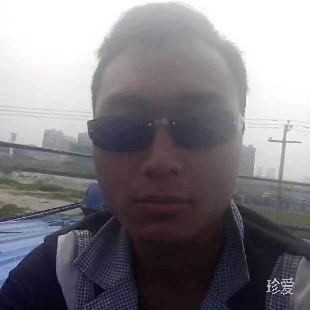 榕树下的蜗牛