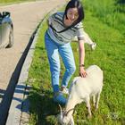 一朵無(wú)言花