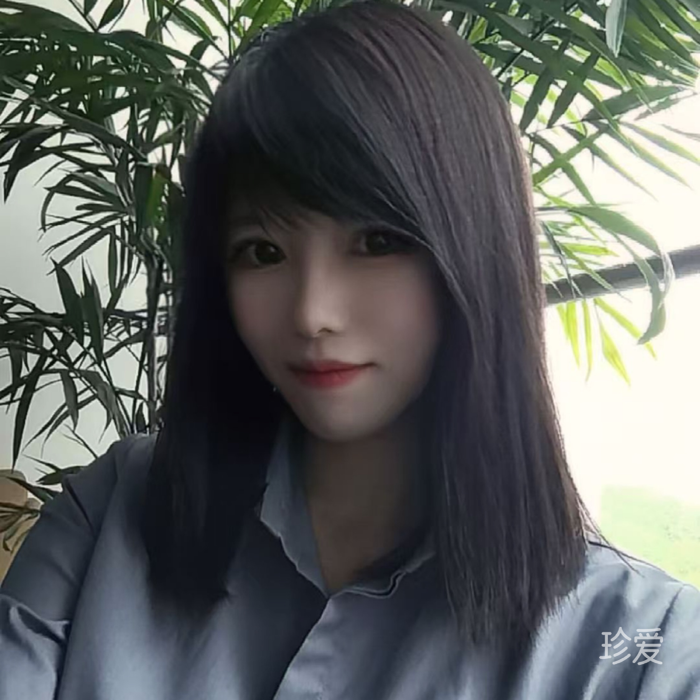 C宝宝