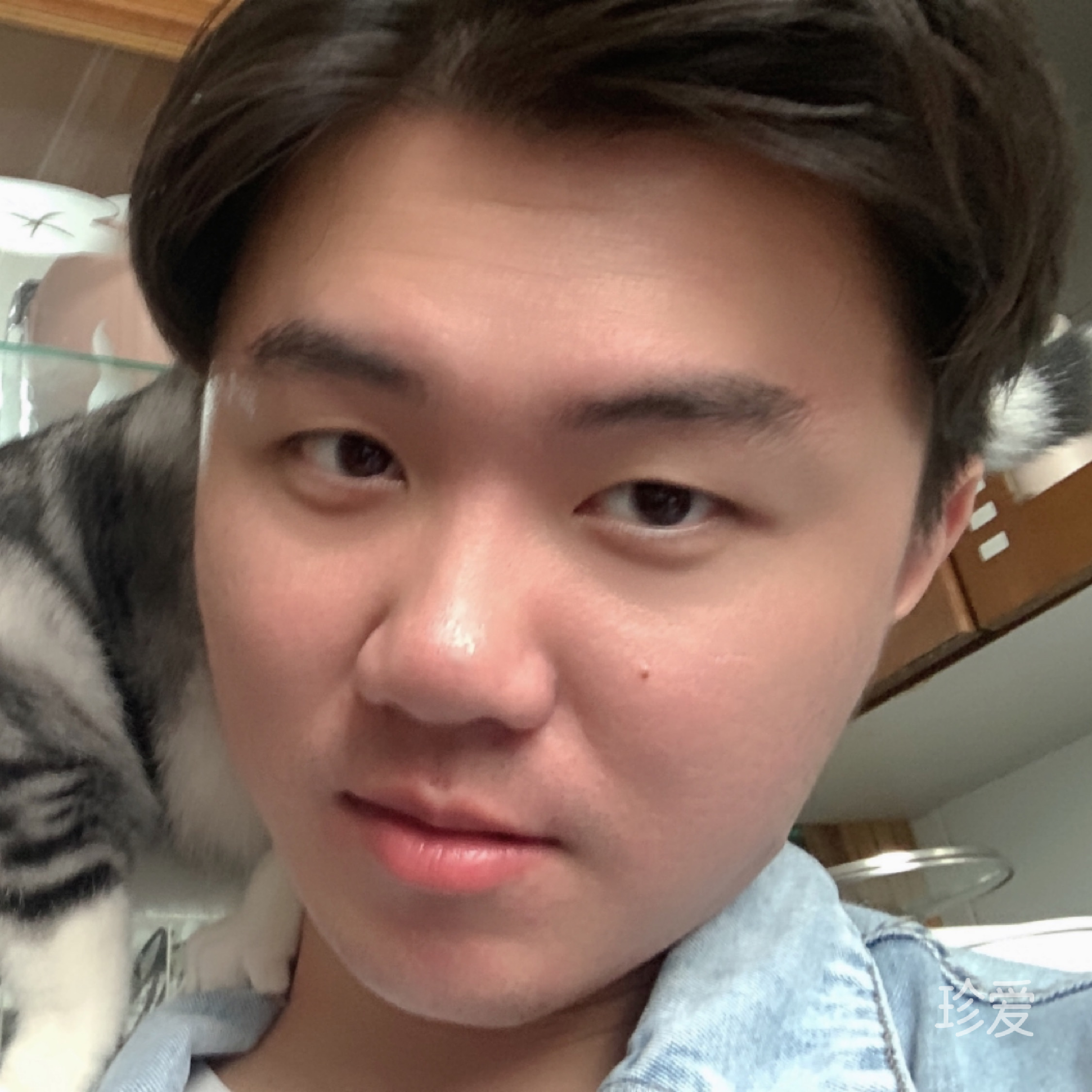 一條野生的咸魚君