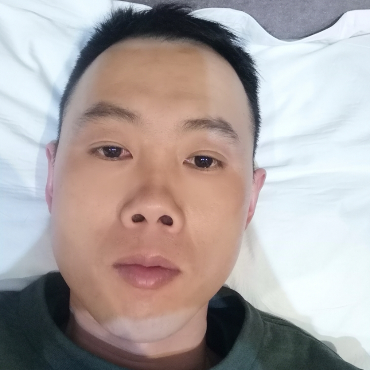 昨夜西风凋碧树