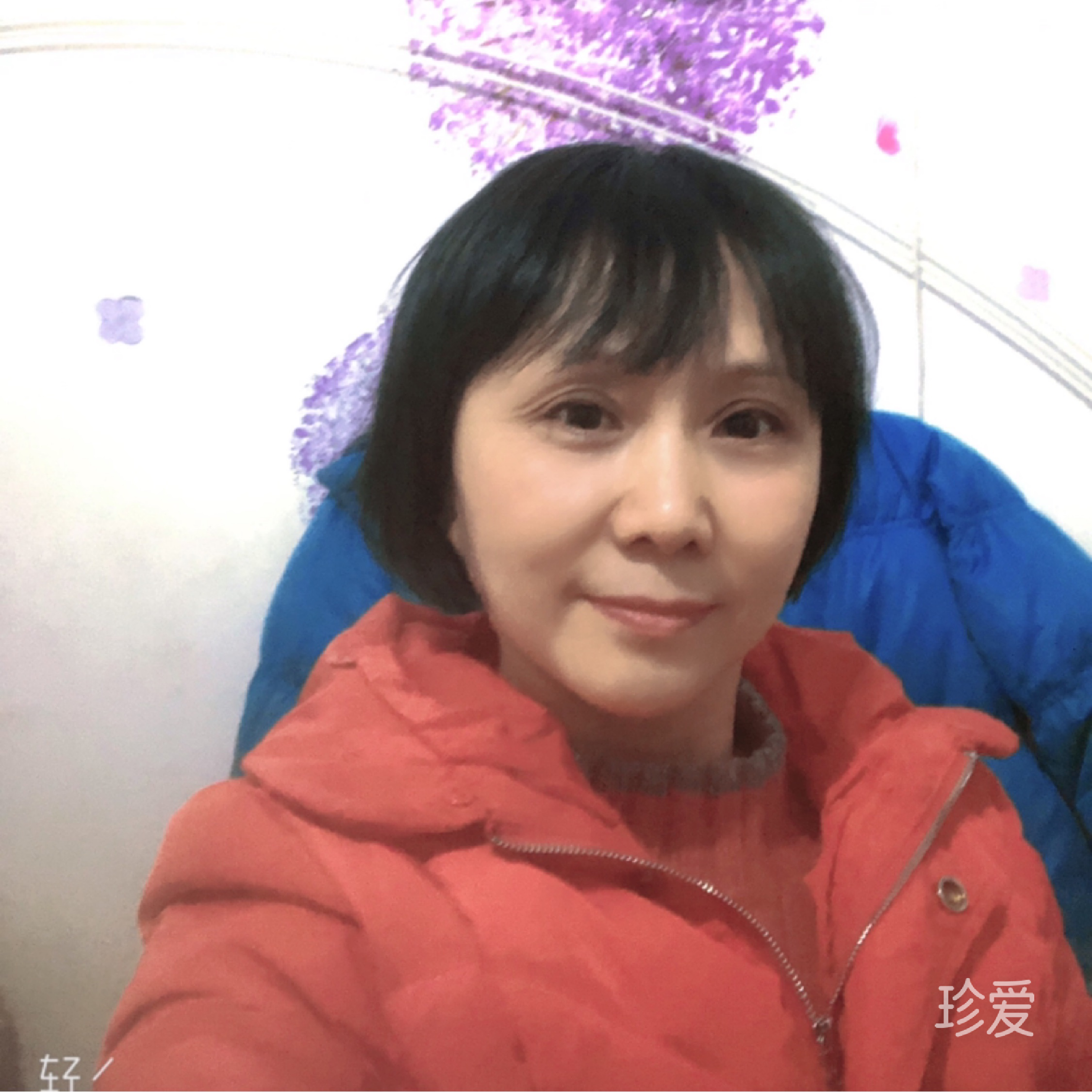 藍(lán)色的四葉草