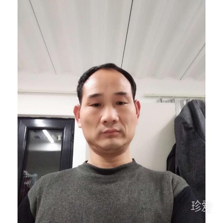 下一站风雨有你吗