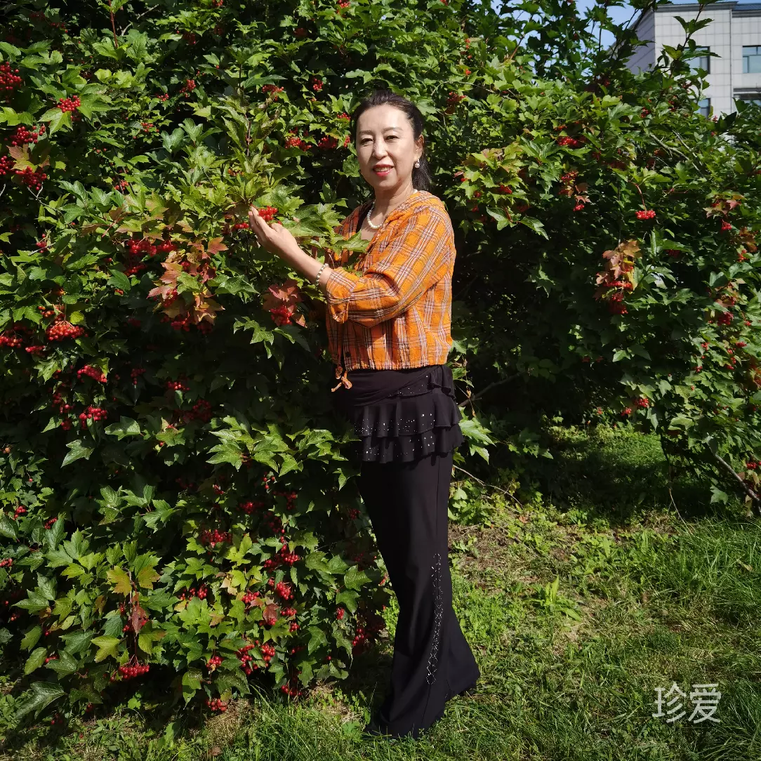 丽丽