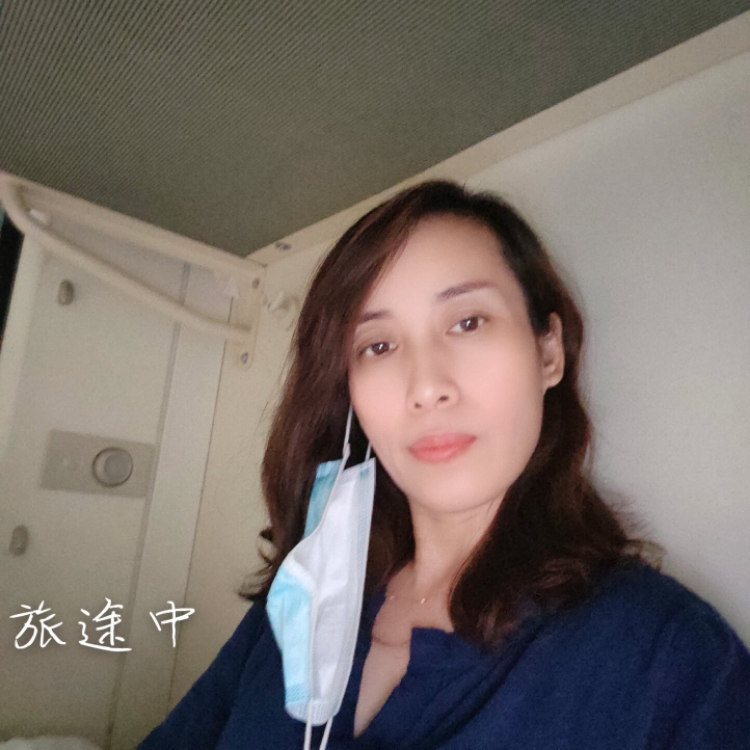 紫丁香