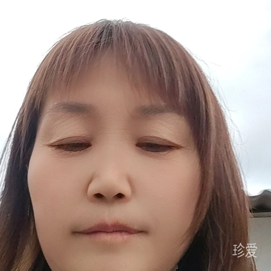 猫猫吉祥