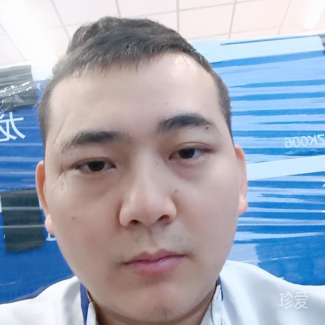 飞蛾扑火