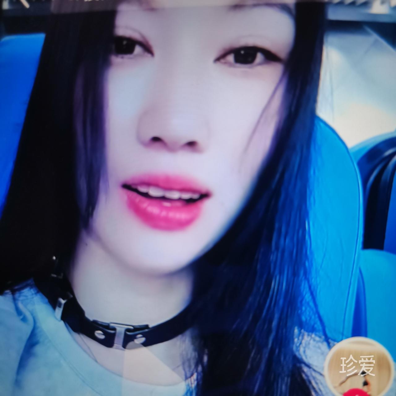 傲雪墨梅