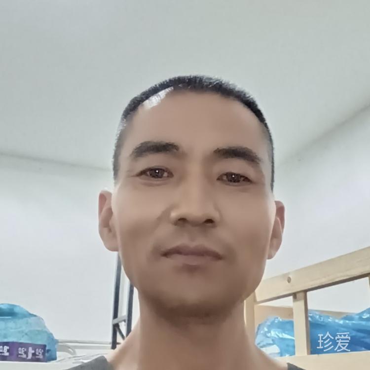 狼行天下