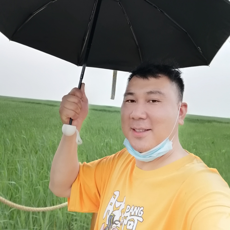 尋找簡(jiǎn)單的愛情