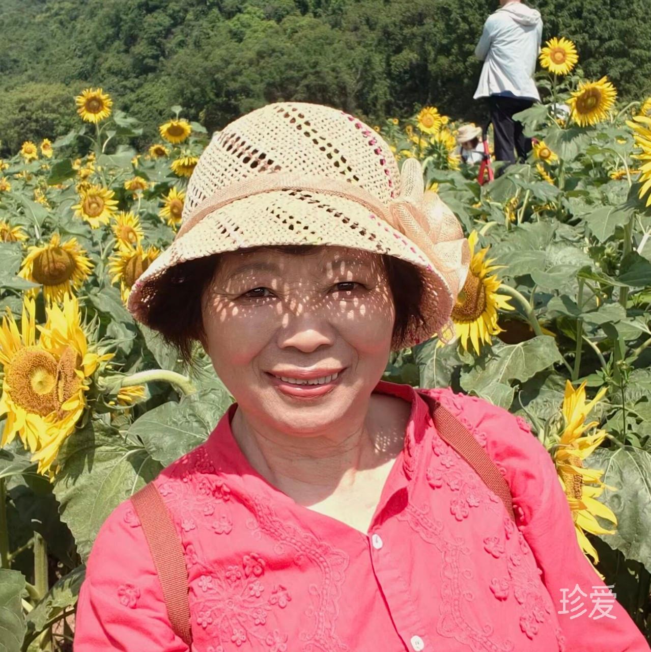 莲花香