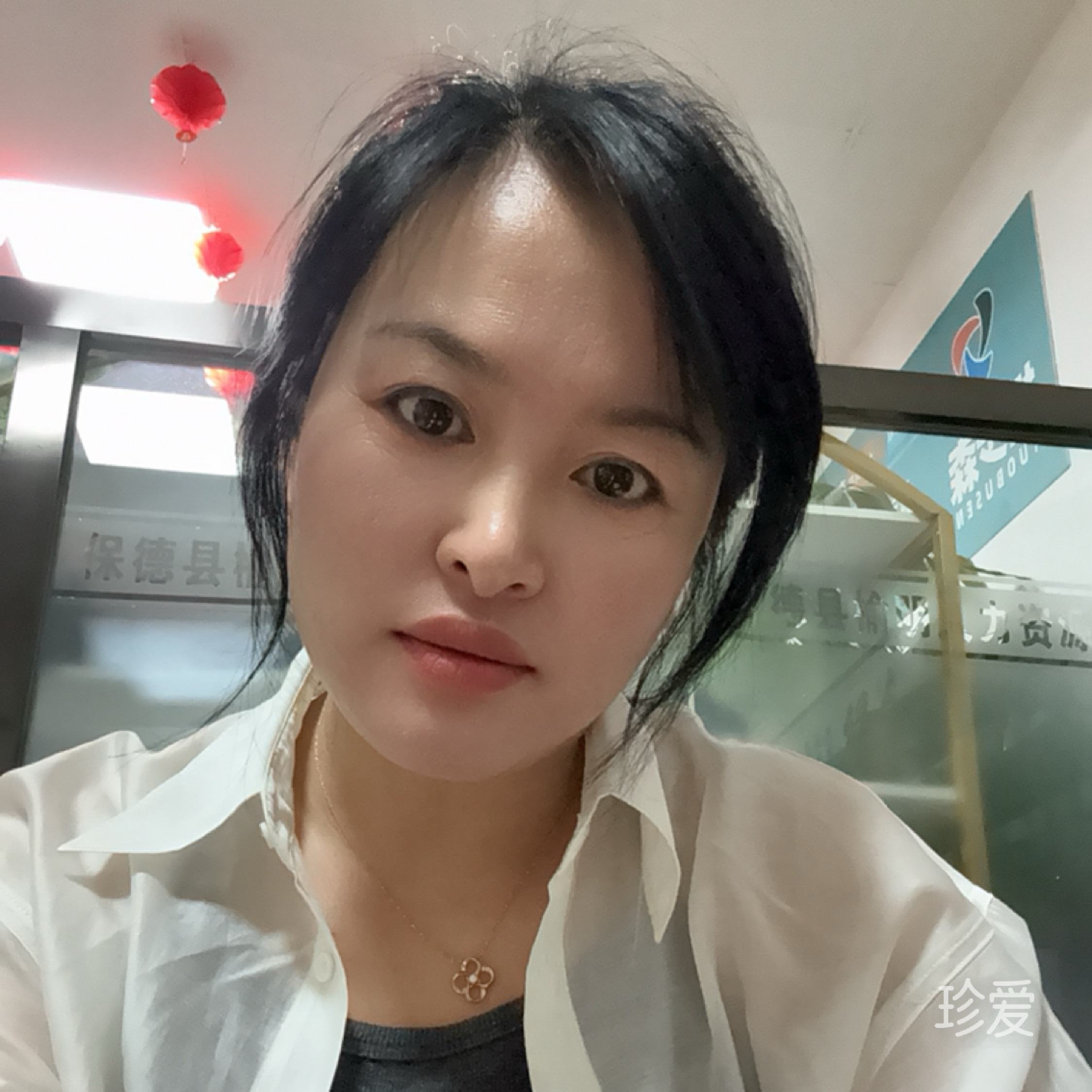 杨莉