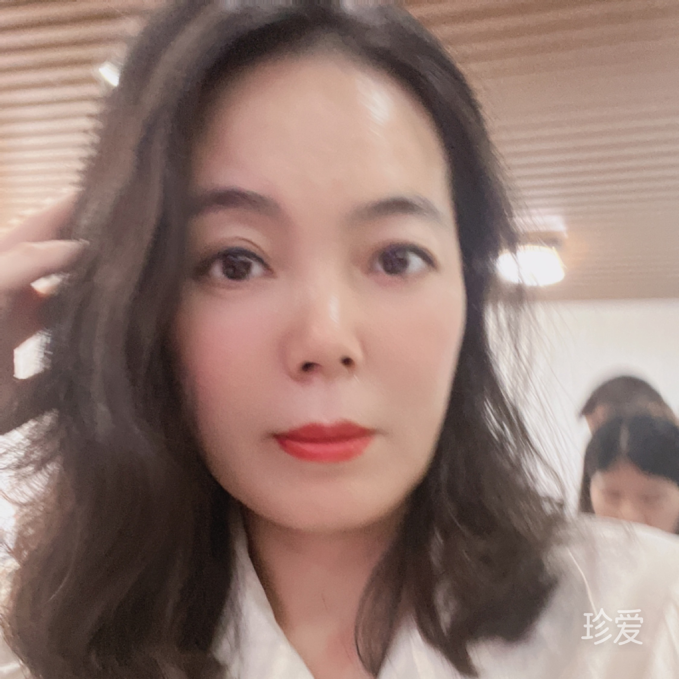 海边的贝壳